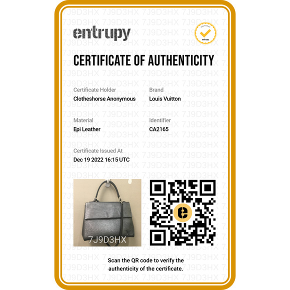 Louis Vuitton | Gray Cluny MM Epi Leather Top Handle Bag - Picture 14 of 14